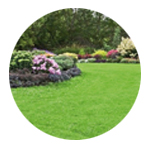Giardini, aiuole, prati, tappeti erbosi